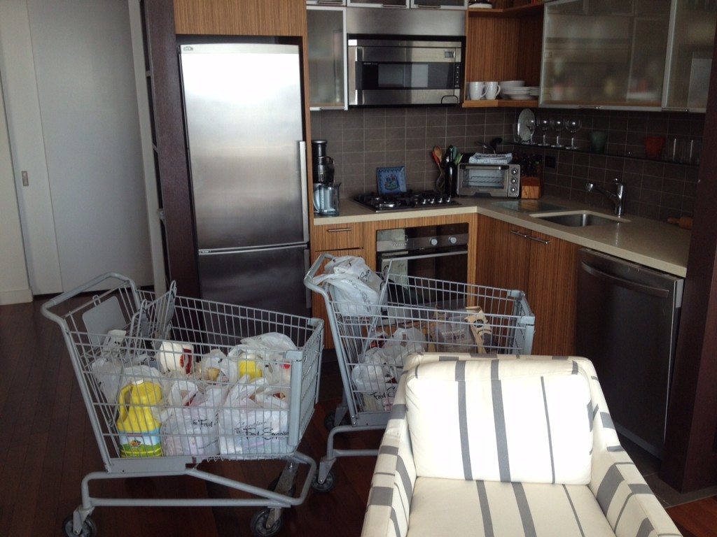 shopping-carts-in-nyc-apartment