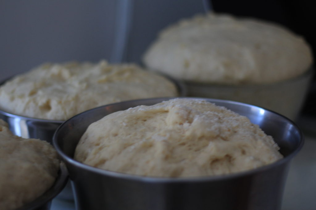 doughnut-dough-rising